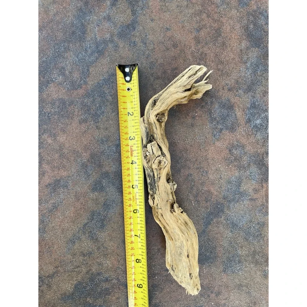 Natural Driftwood for Plants Terrarium Taxidermy‎ Art Projects